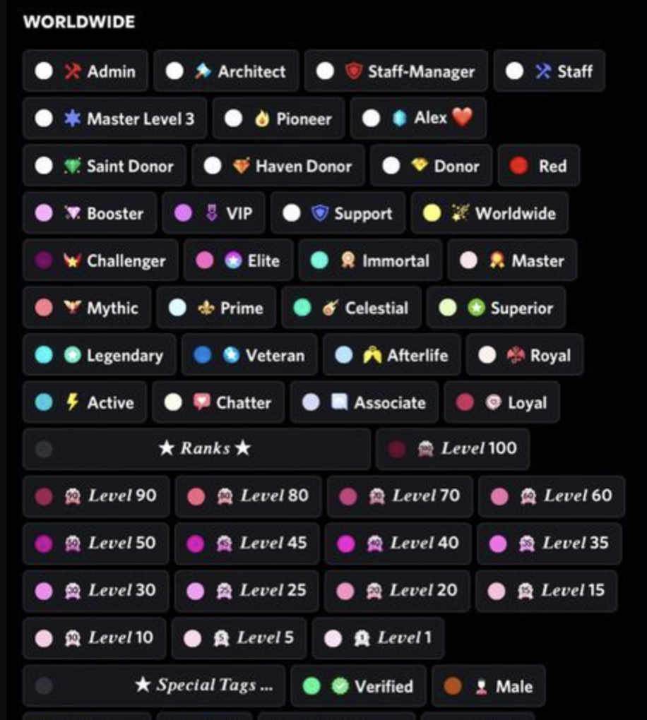 An overflowing Discord server role list