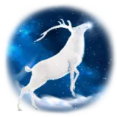 Star Hunt